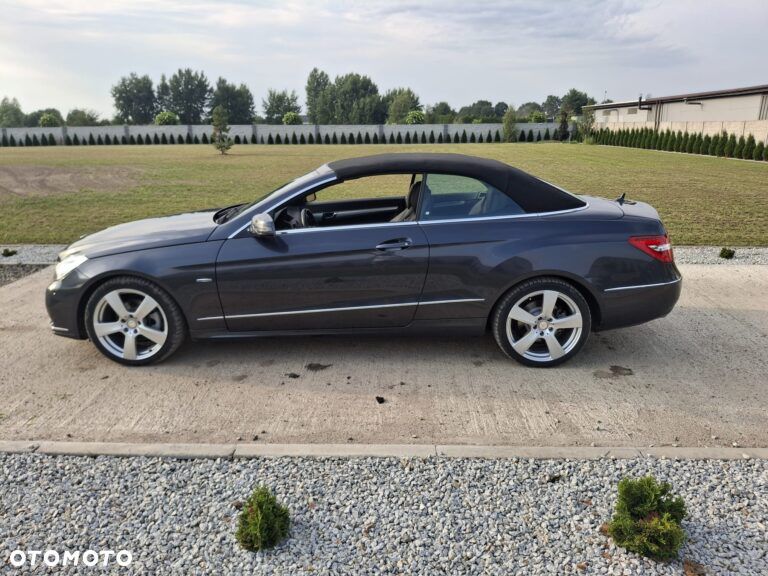 Mercedes-Benz Klasa E 250 BlueEFFICIENCY 7G-TRONIC Avantgarde - 9