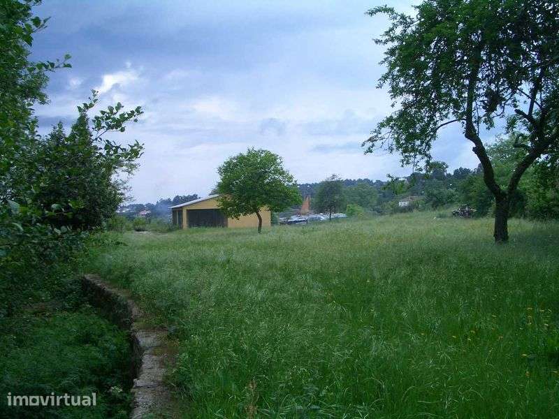 Quinta em Mangualde - Grande imagem: 2/12