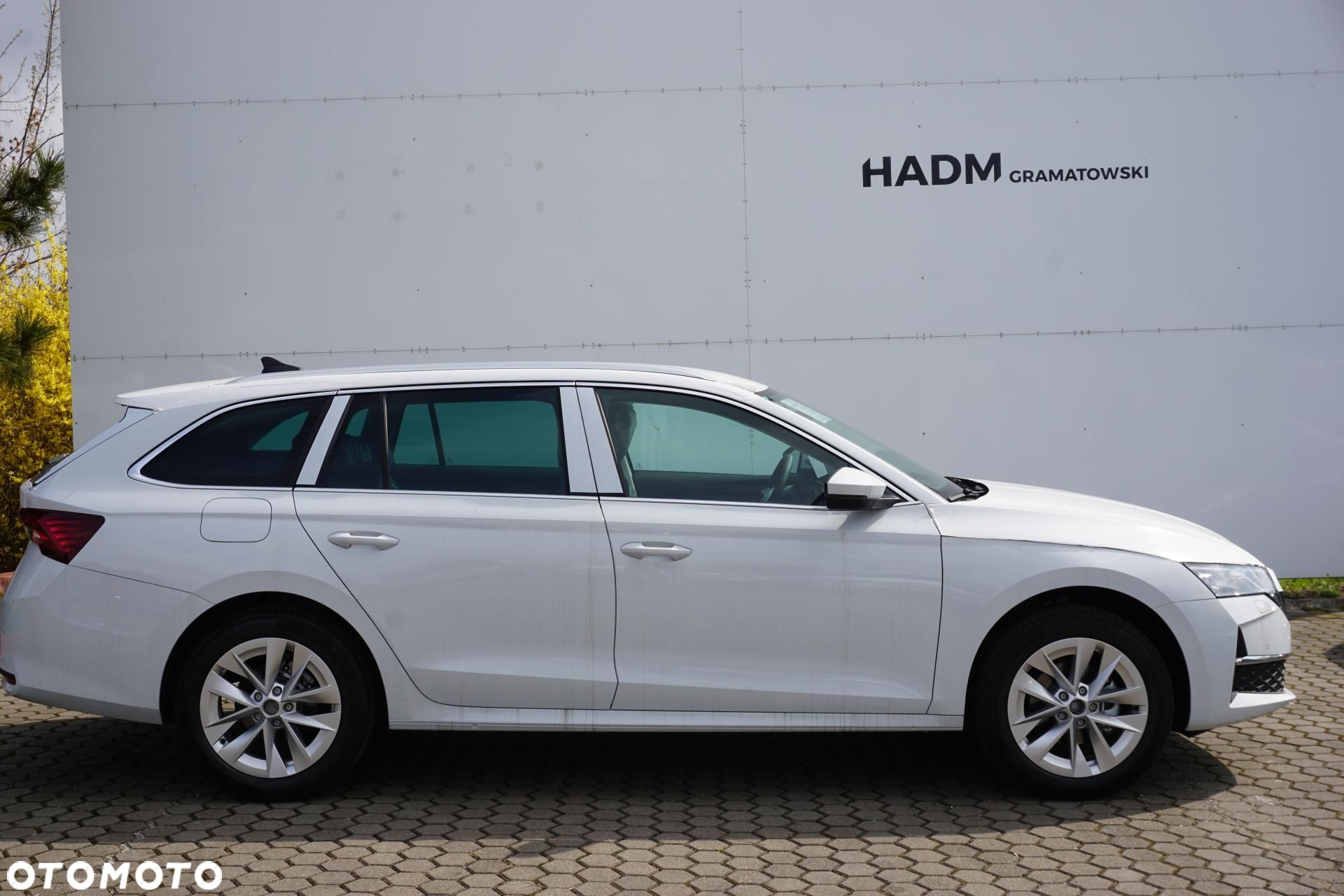 Skoda Octavia - 2