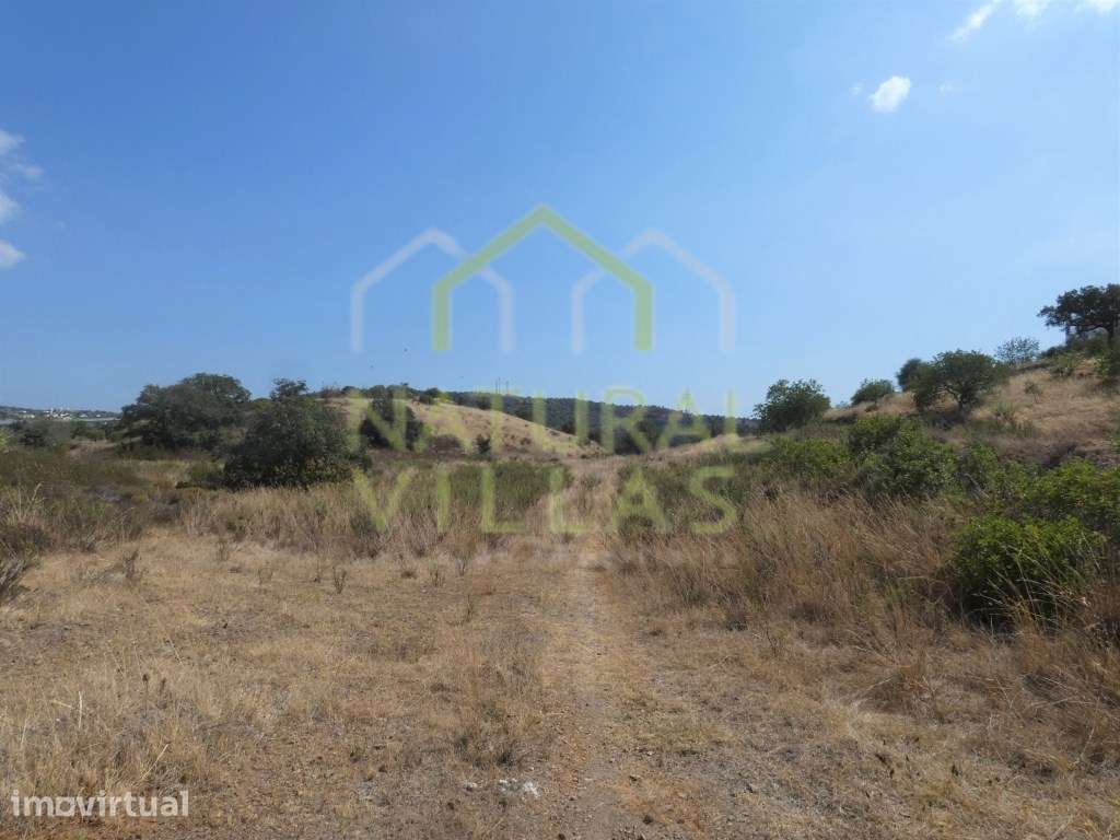 2,2 Hectares: Ruína com terreno em São Bartolomeu de Messines - Grande imagem: 5/5