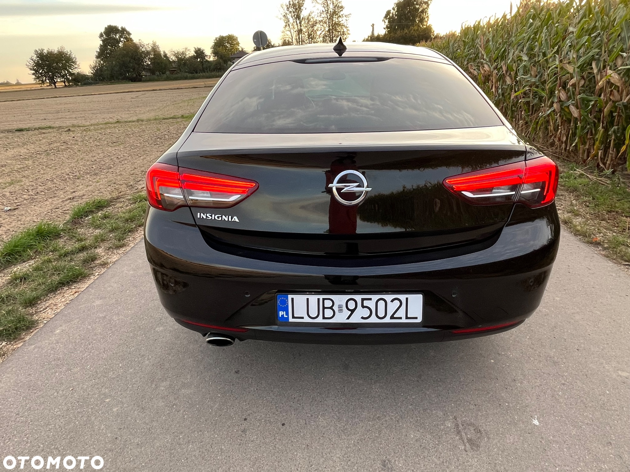 Opel Insignia 2.0 CDTI 4x4 Exclusive S&S - 8