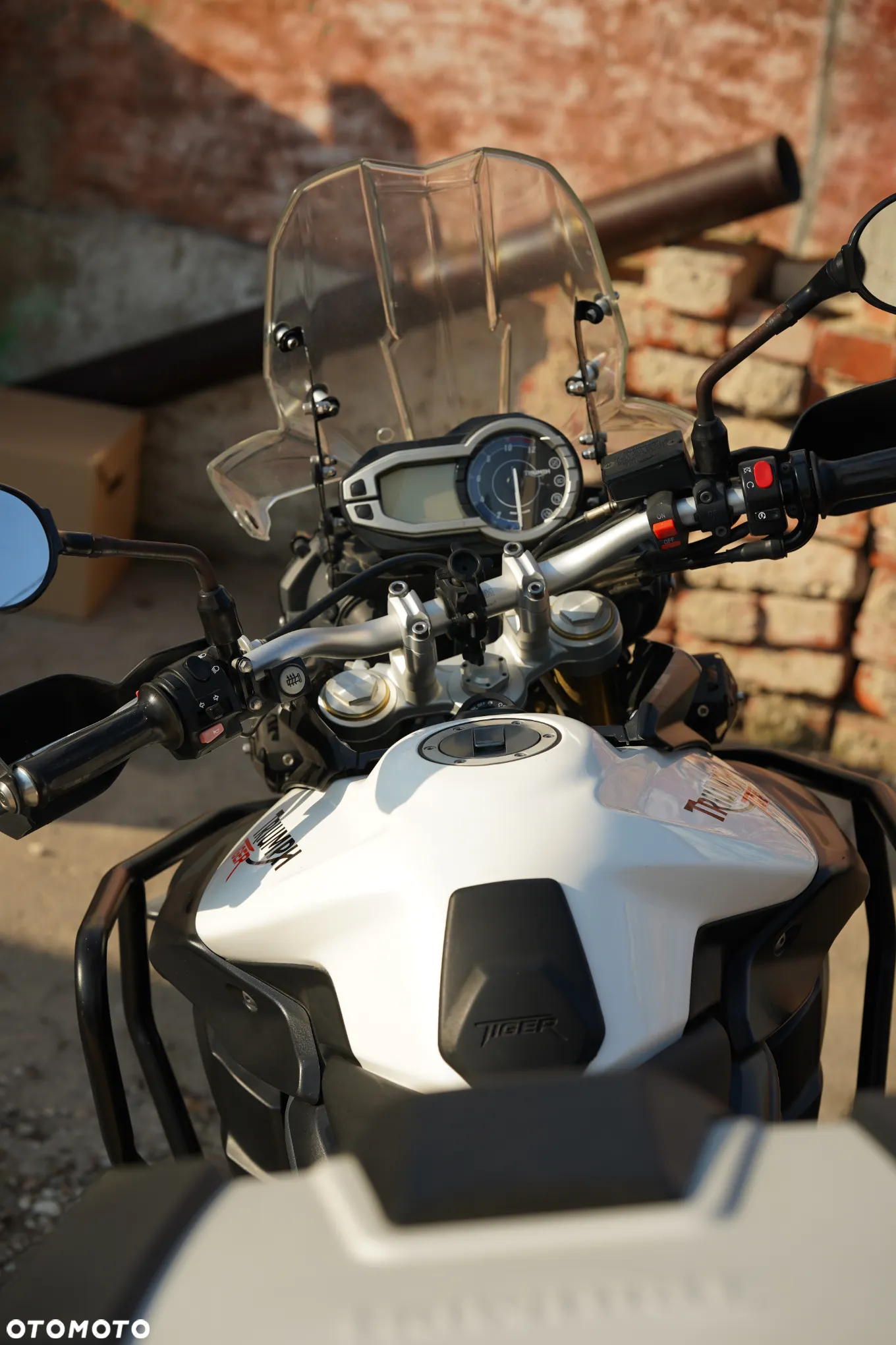 Triumph Tiger - 10