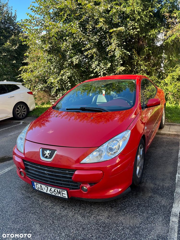 Peugeot 307 - 3