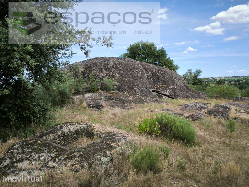 Terreno com charca a 2 km de Castelo Branco - Grande imagem: 4/14
