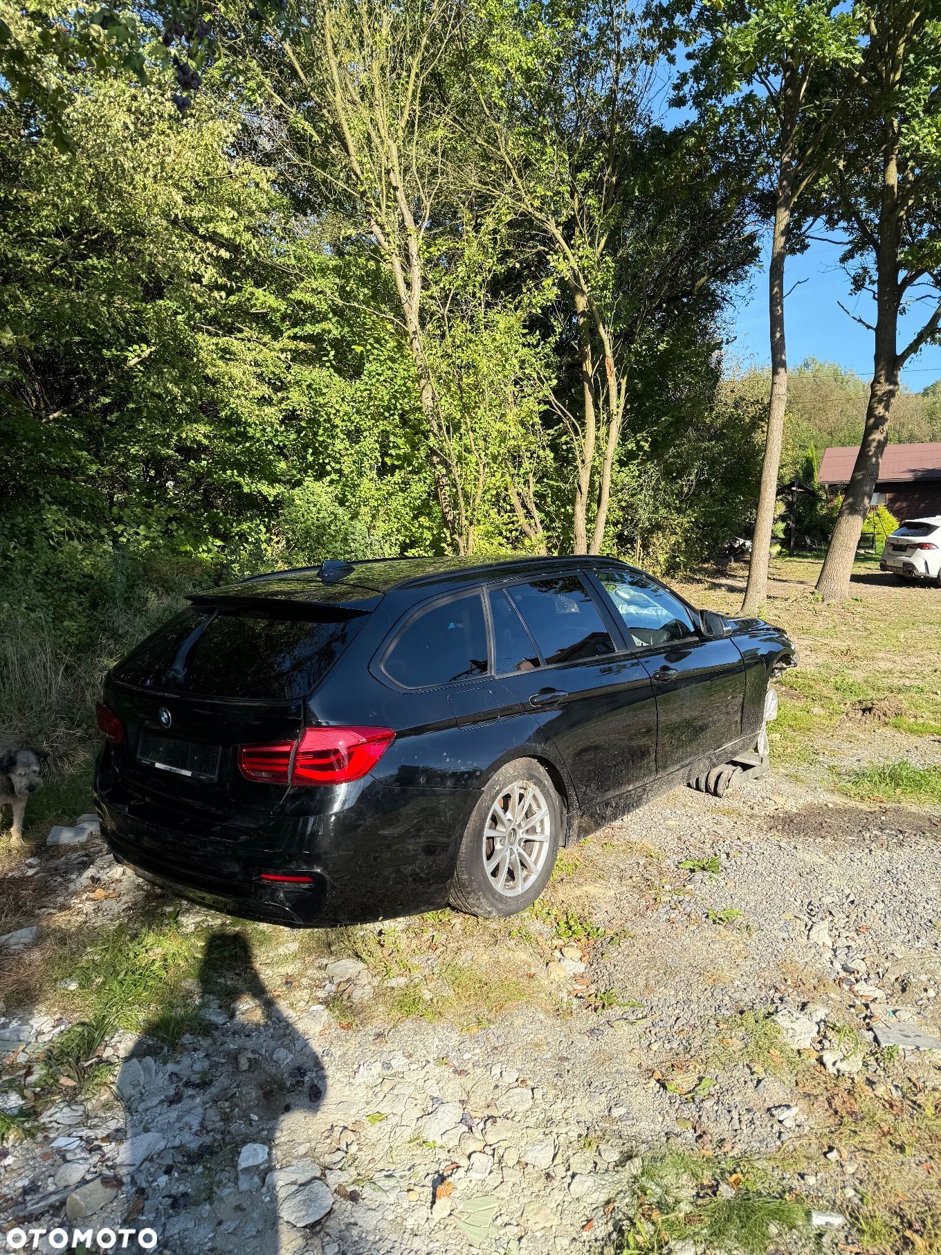BMW Seria 3 318d Advantage - 1