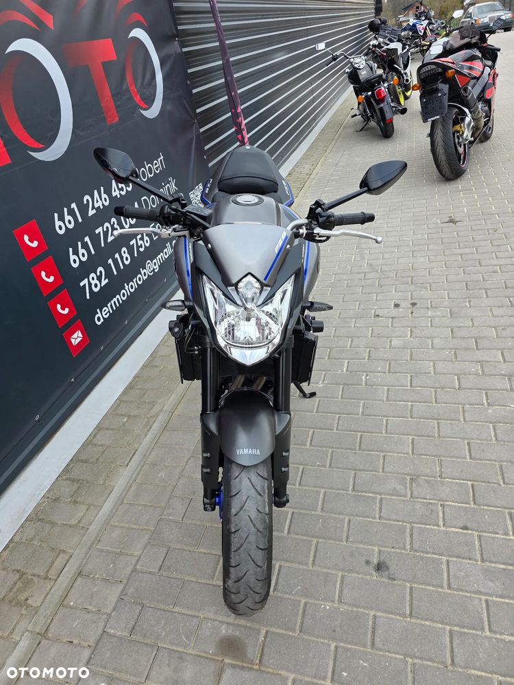 Yamaha FZ8 - 19