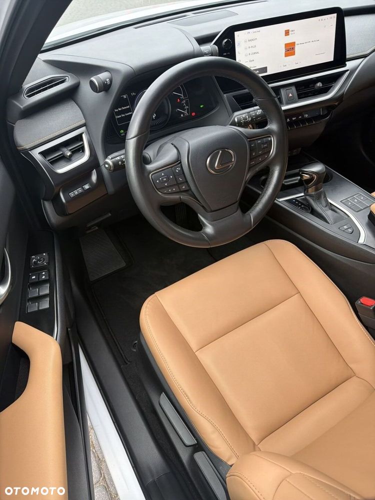 Lexus UX 250h GPF F Sport Design 2WD - 10