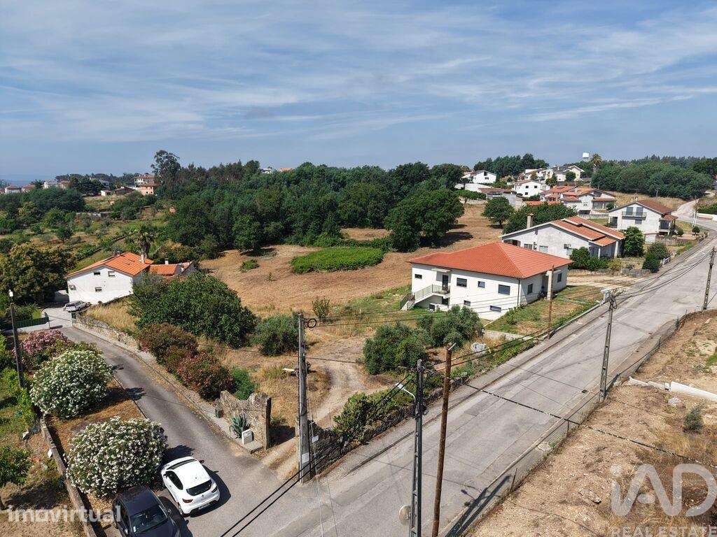 Terreno em Santa Comba Dão e Couto do Mosteiro - Grande imagem: 2/35