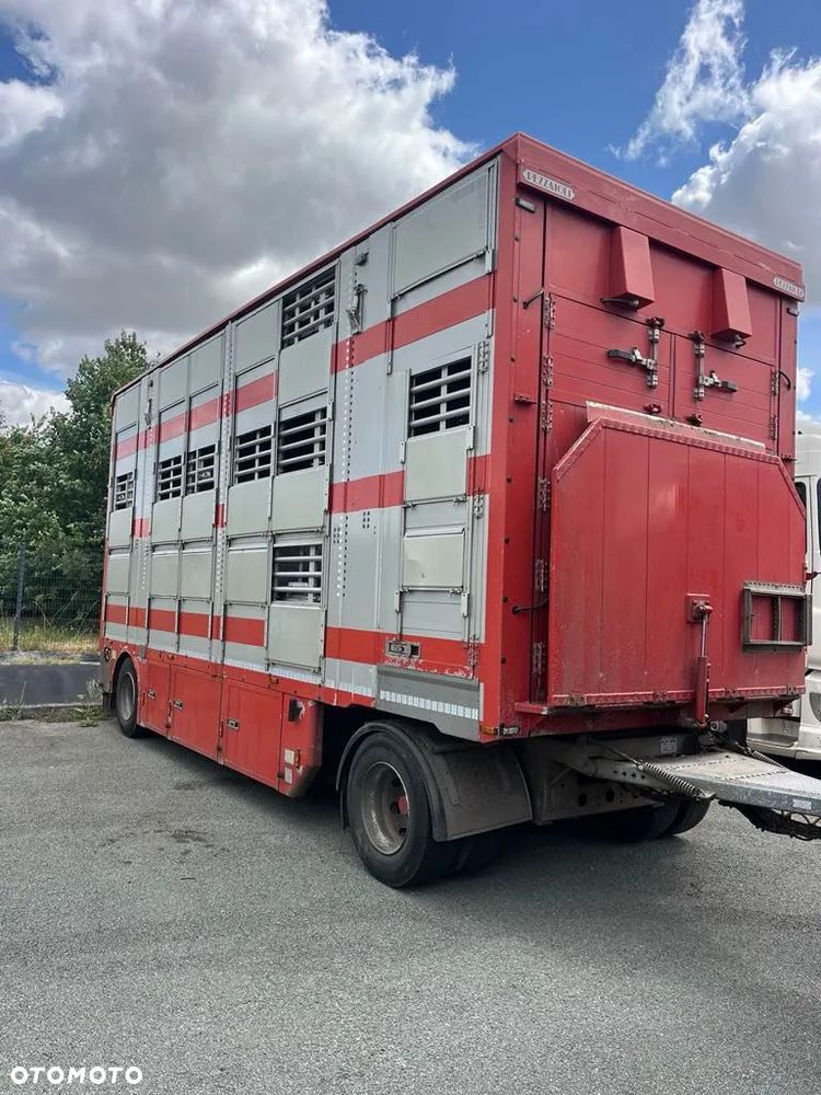 DAF XF 530 + Przyczepa Pezzaoli - 3X Trzoda, 2 X Bydło I 3 poziomy I Podnoszony dach I Hydroburta I Osie Skrętne I Poidła I Wentylatory I Pilot Manualny | - 4