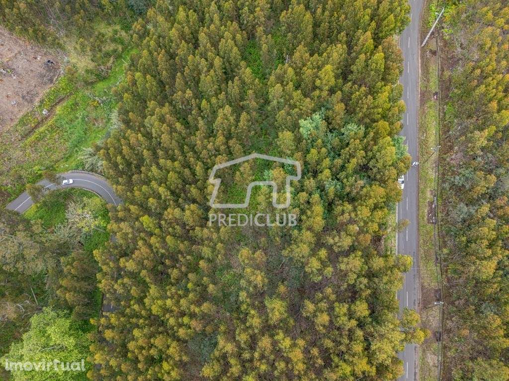 Terreno  889 m2 - Calheta - Grande imagem: 2/13