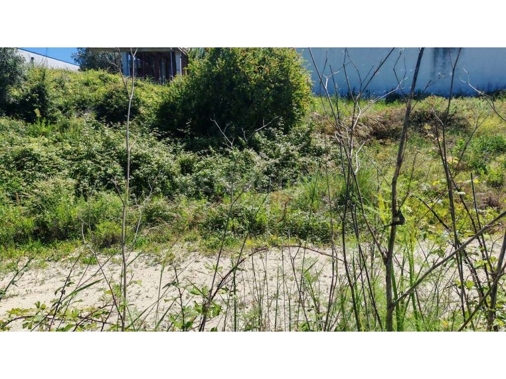 Lote para construção de moradia em zona calma da cidade - Grande imagem: 5/7