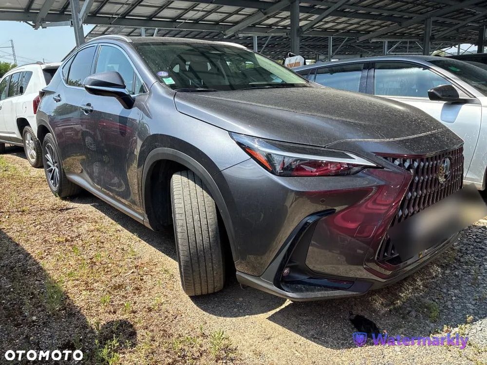 Lexus NX - 2