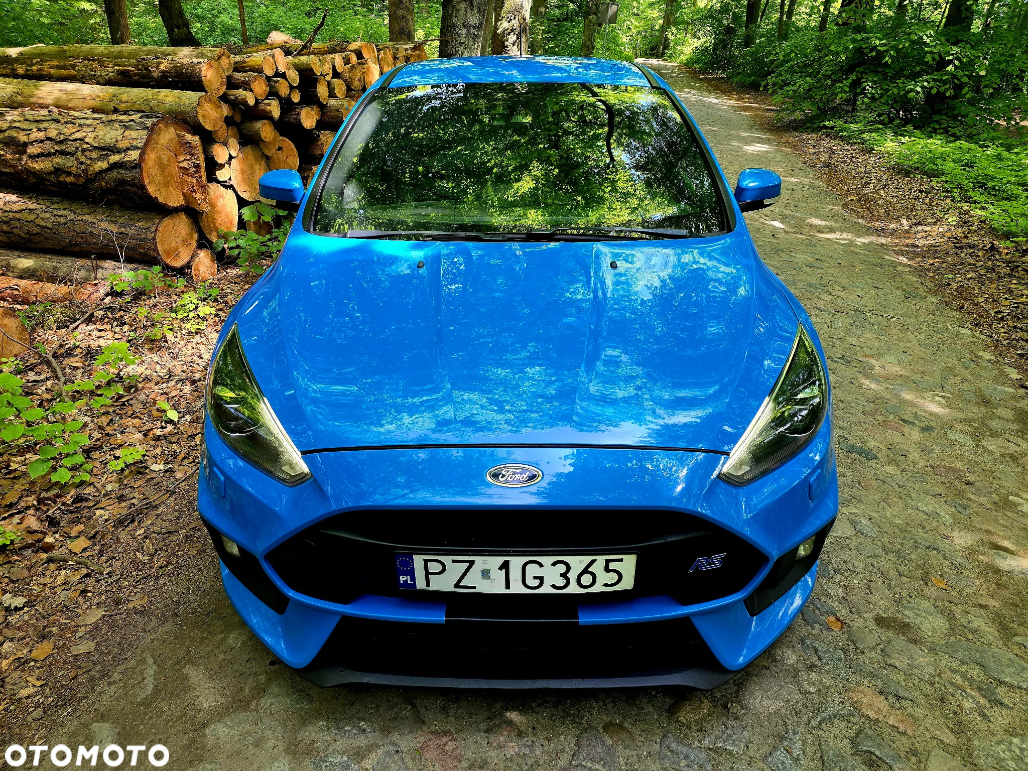 Ford Focus 2.3 EcoBoost RS - 5