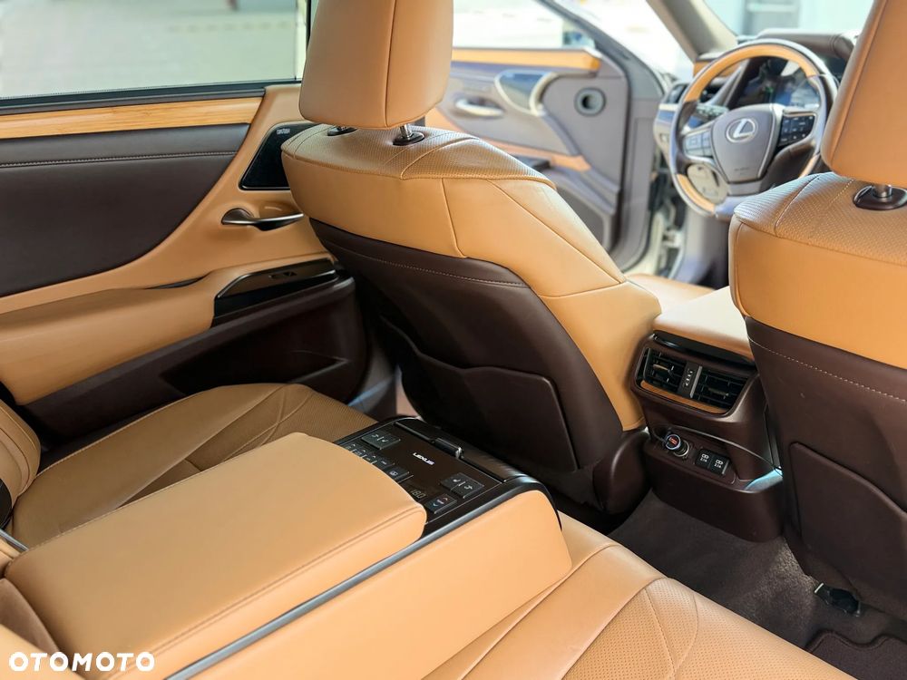 Lexus ES 300h Omotenashi - 16