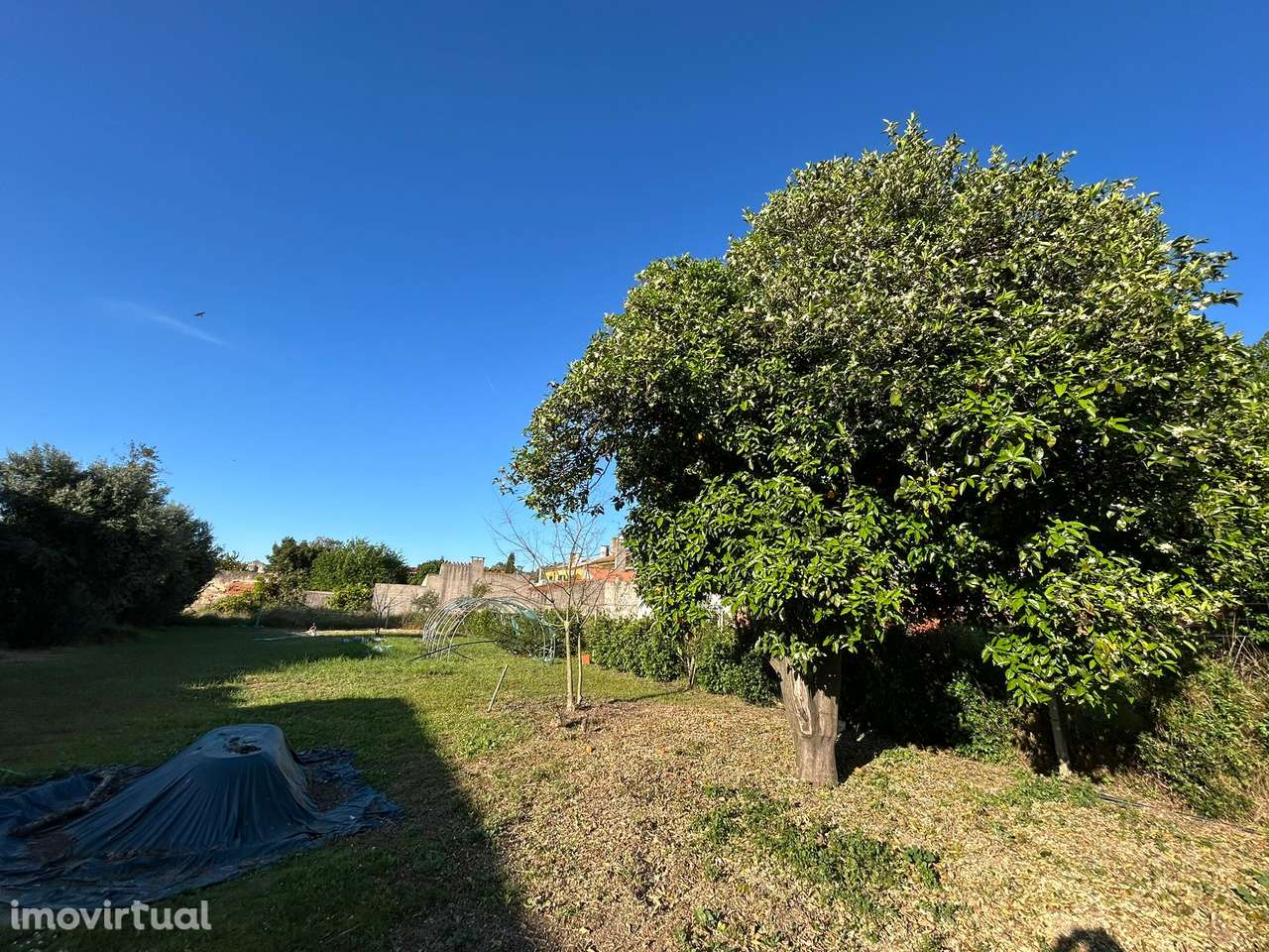 Quintinha em Almeirim - Grande imagem: 4/10