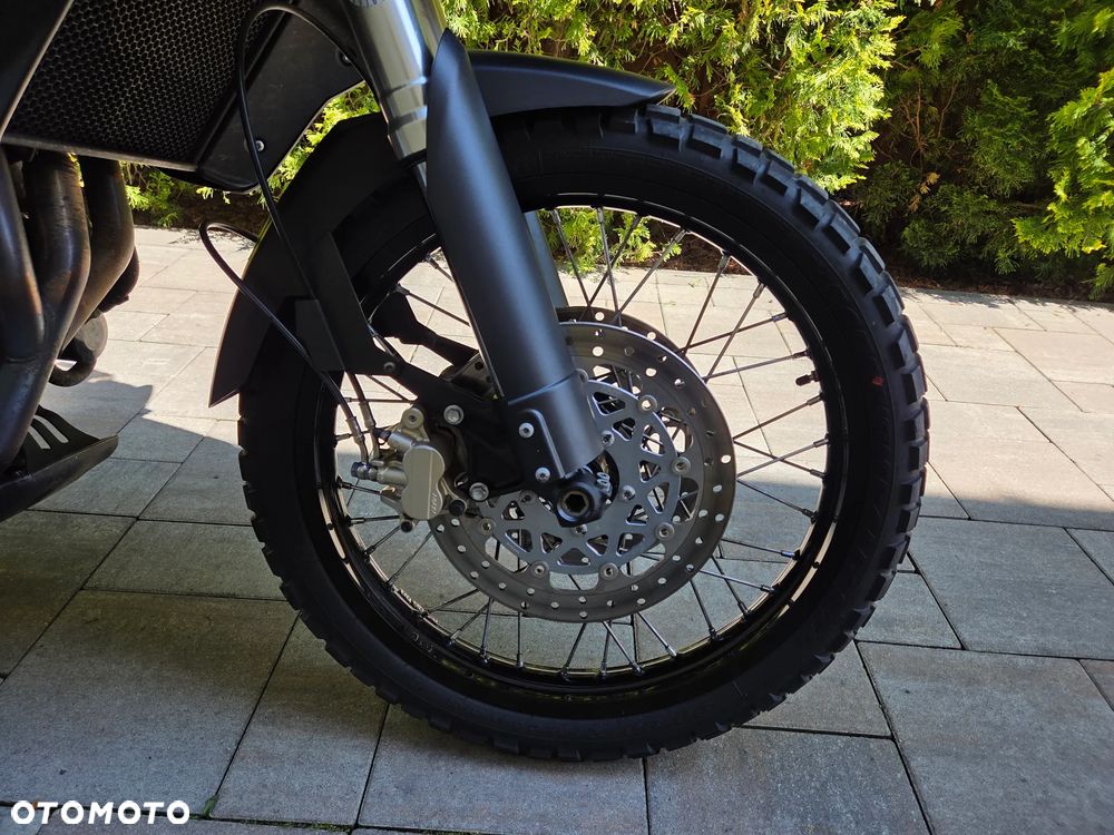 Triumph Tiger - 19