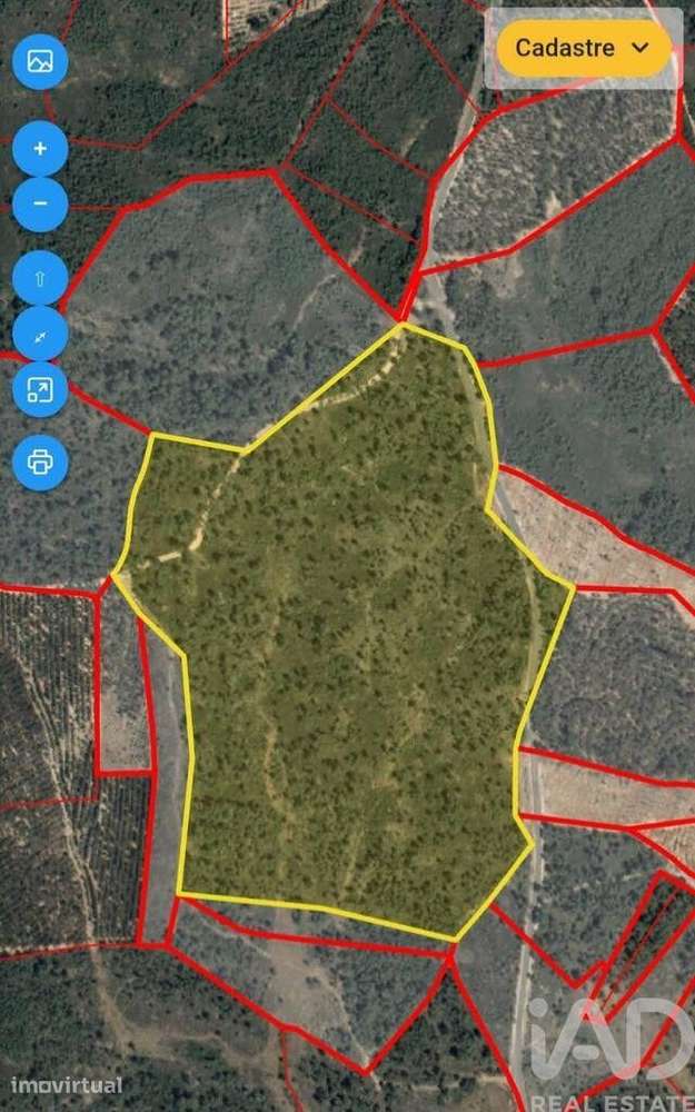 Terreno Agrícola em Sarzedas - Grande imagem: 4/17