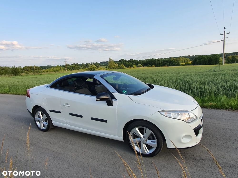 Renault Megane - 18