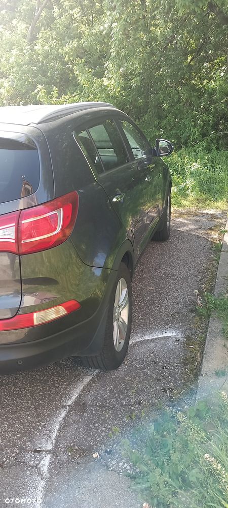 Kia Sportage 1.6 GDI L 2WD - 12