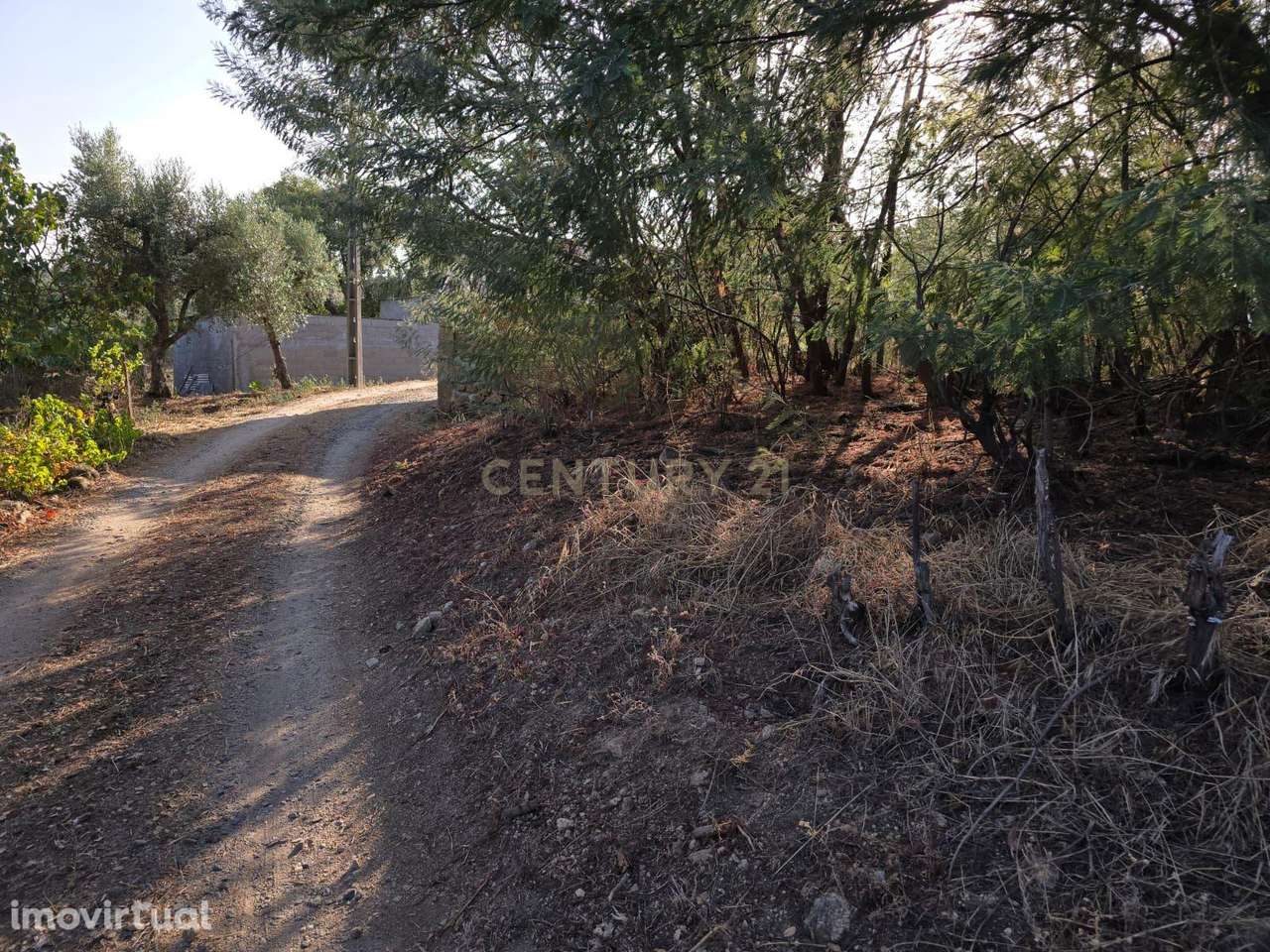 Terreno Rústico em Castelo Novo, Fundão - 2311m² por 19900€ - Grande imagem: 5/19