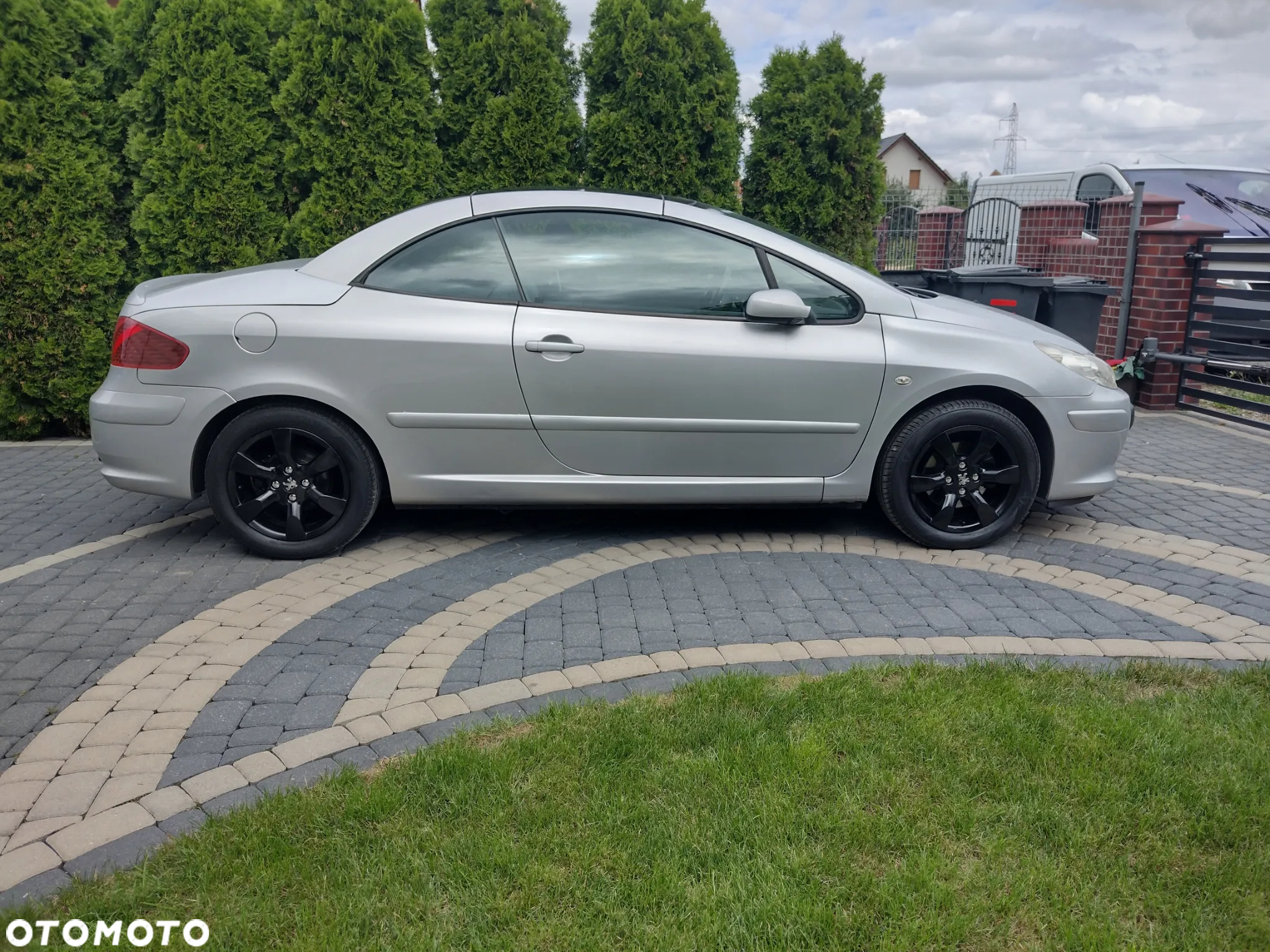 Peugeot 307 CC 2.0 Intense - 7