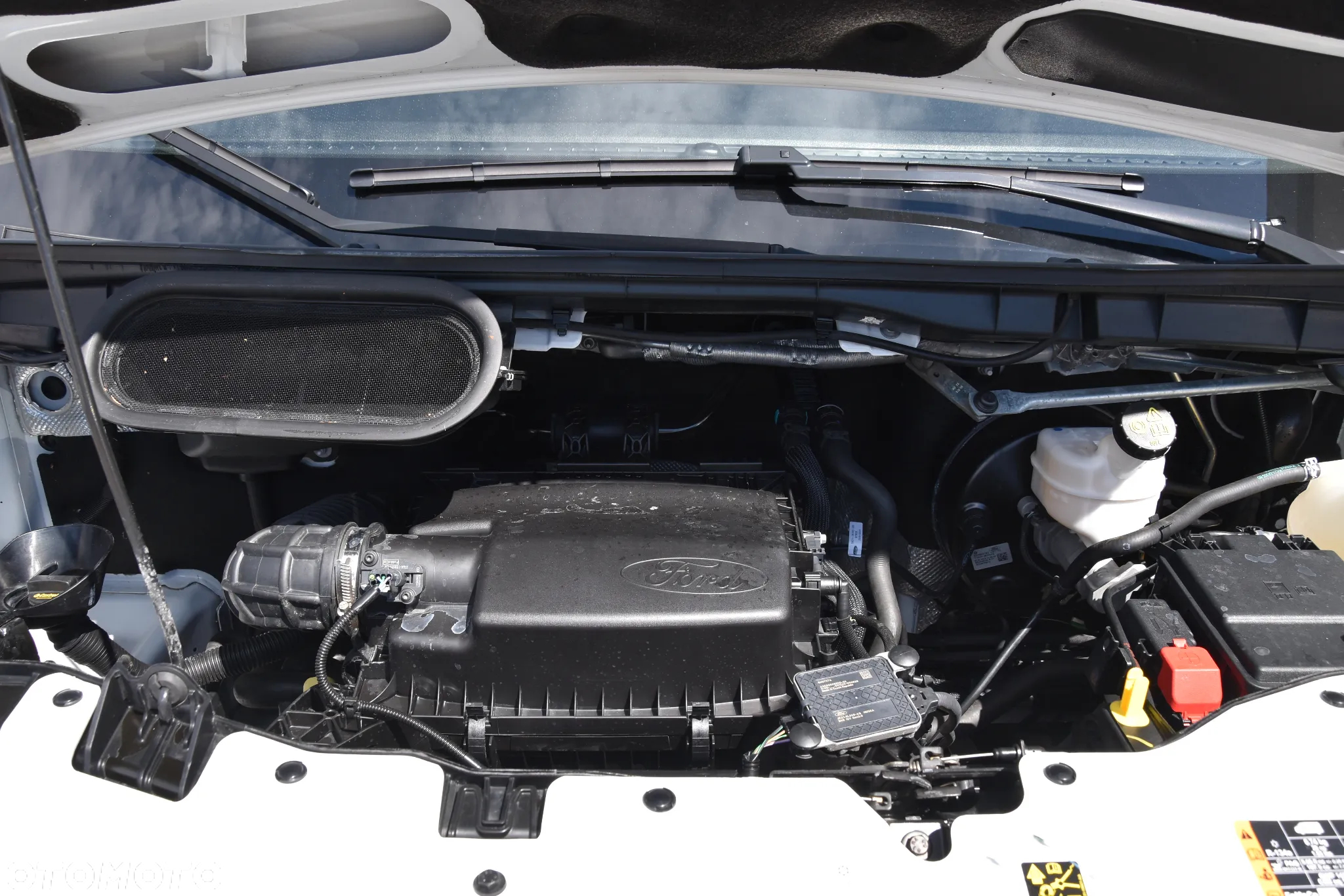 Ford Transit - 22