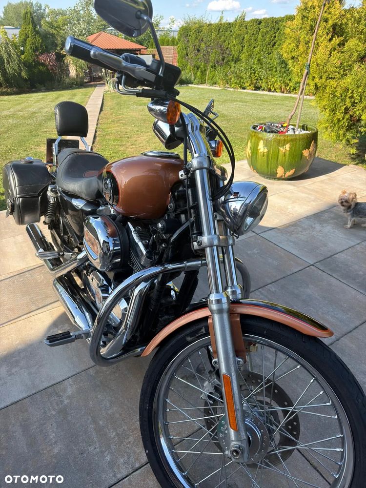 Harley-Davidson Sportster Custom 1200C - 6