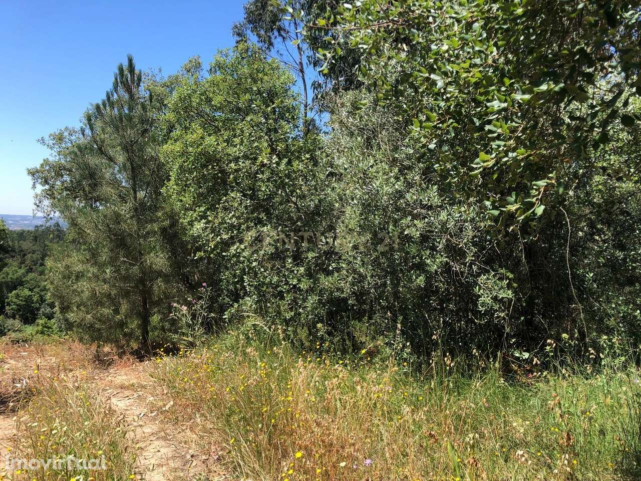 Terreno Rústico - Grande imagem: 3/6