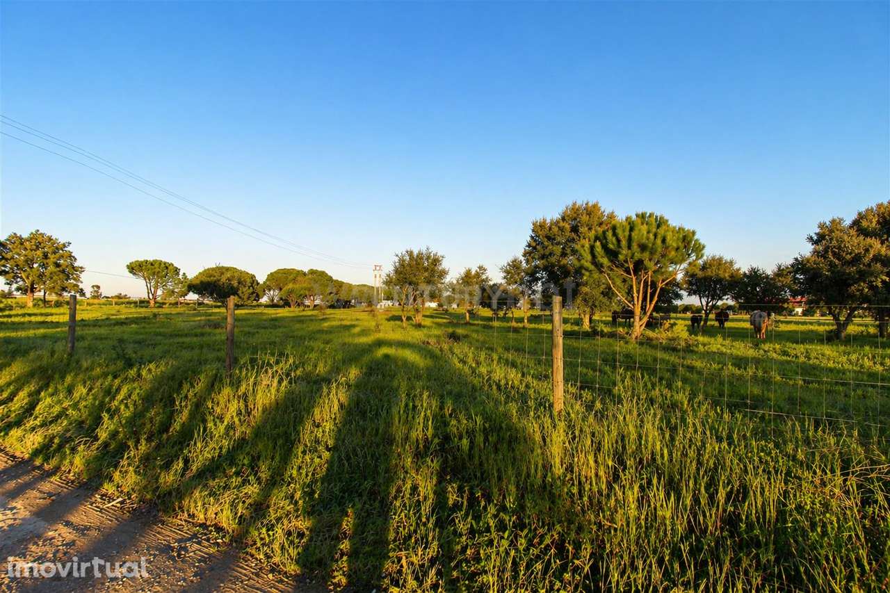 Terreno de 25.000 m² em Pegões com Grande Potencial de Construção! - Grande imagem: 3/17