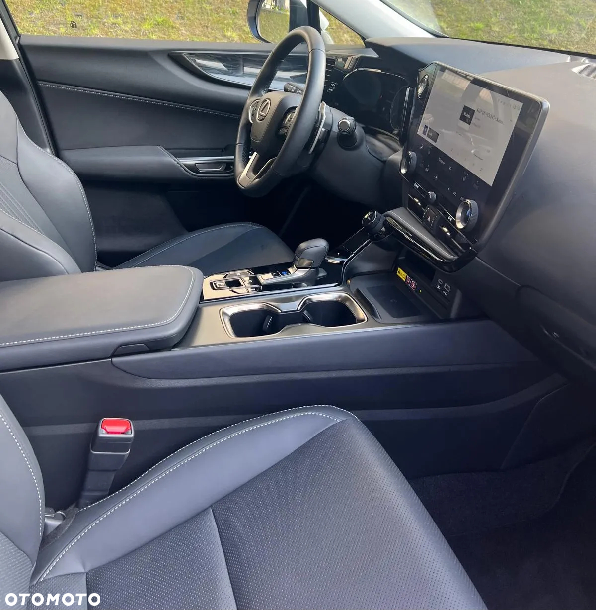 Lexus NX - 10