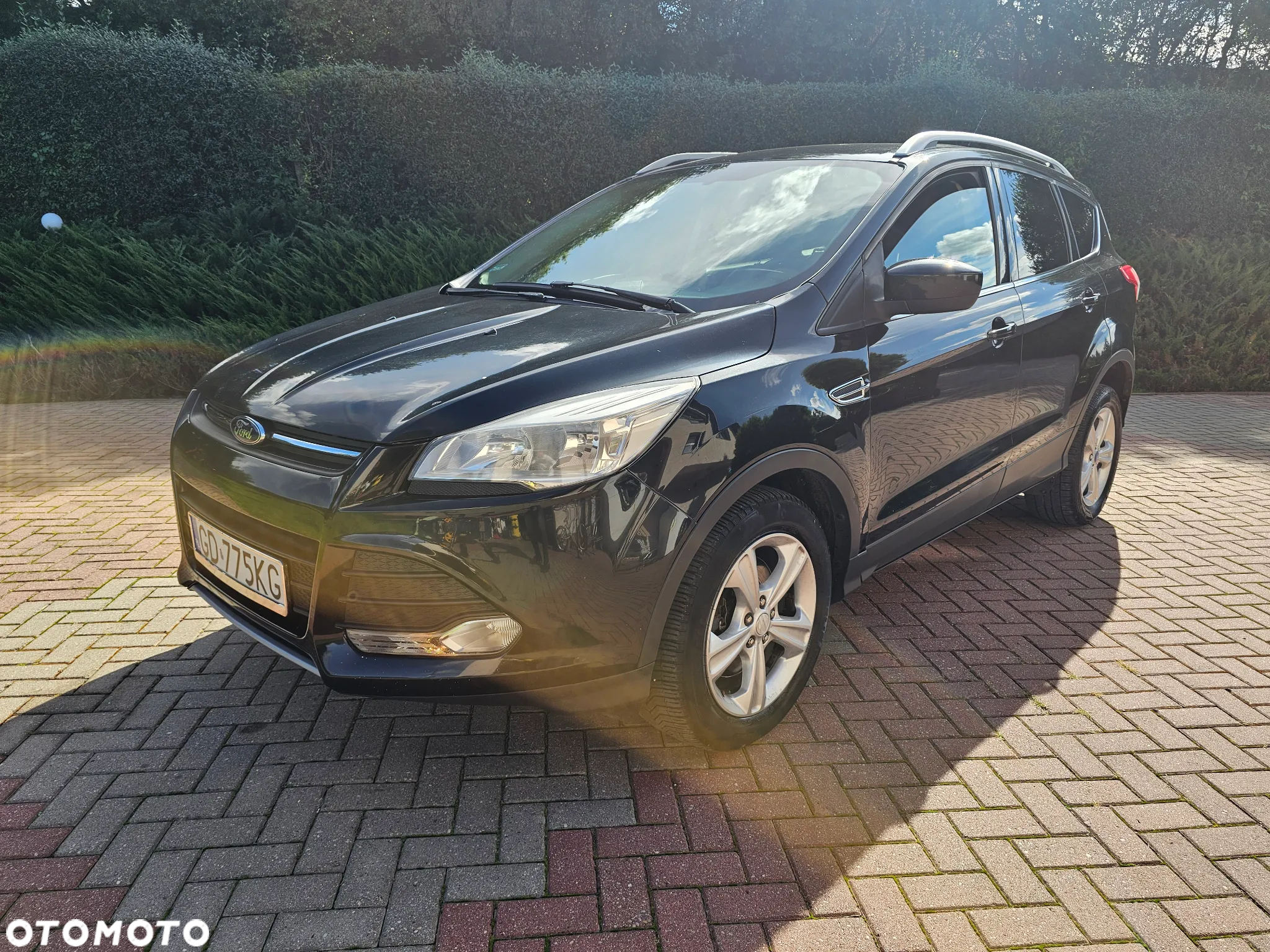 Ford Escape 1.5 EcoBoost AWD SE - 17