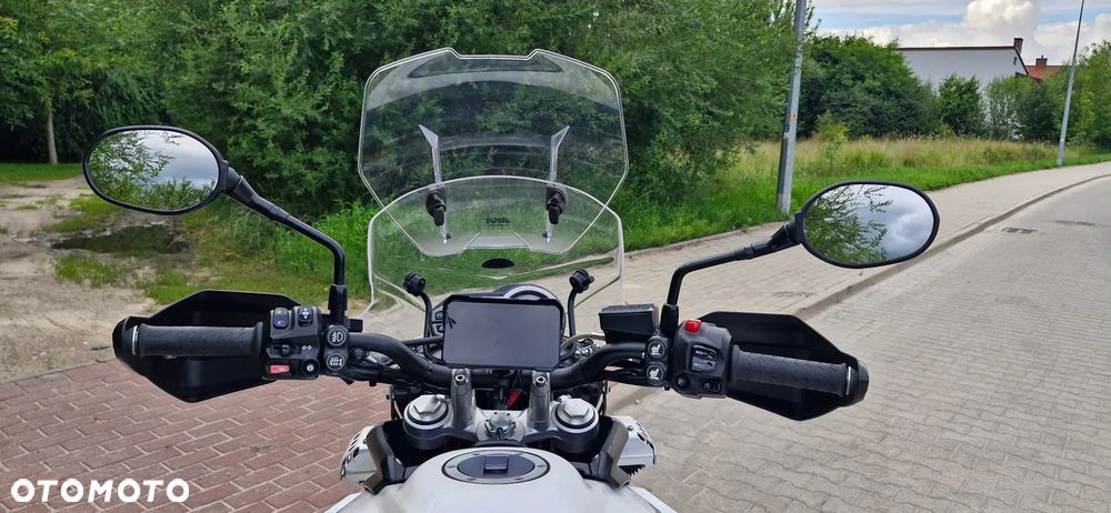 Triumph Tiger - 24