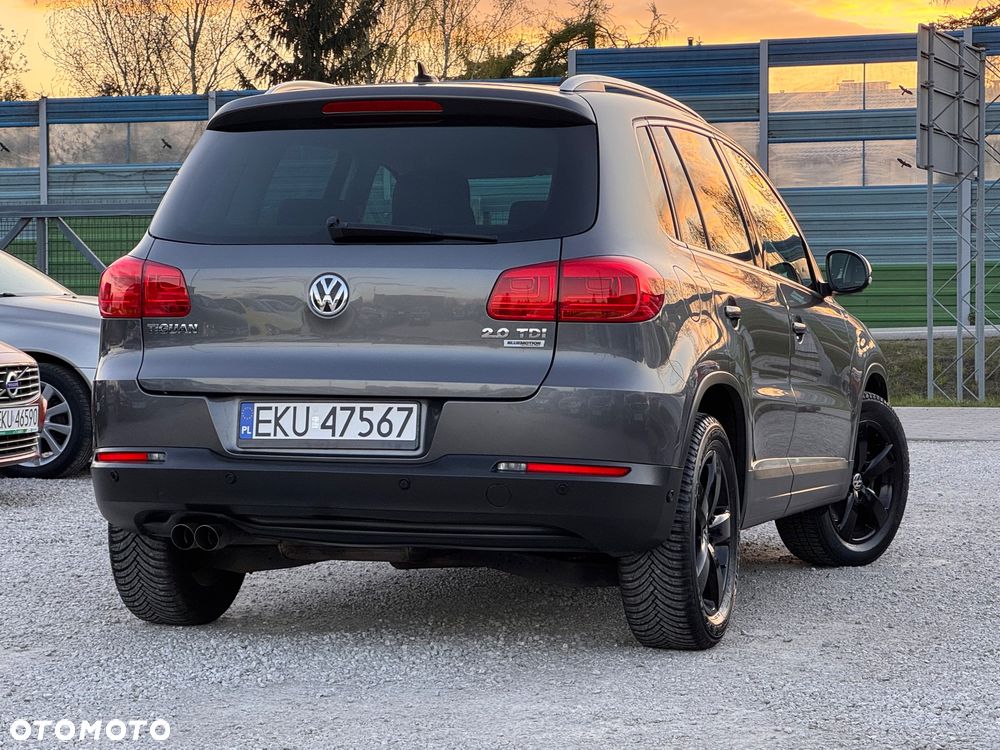Volkswagen Tiguan 2.0 TDI DPF BlueMotion Technology Cup Sport & Style - 38