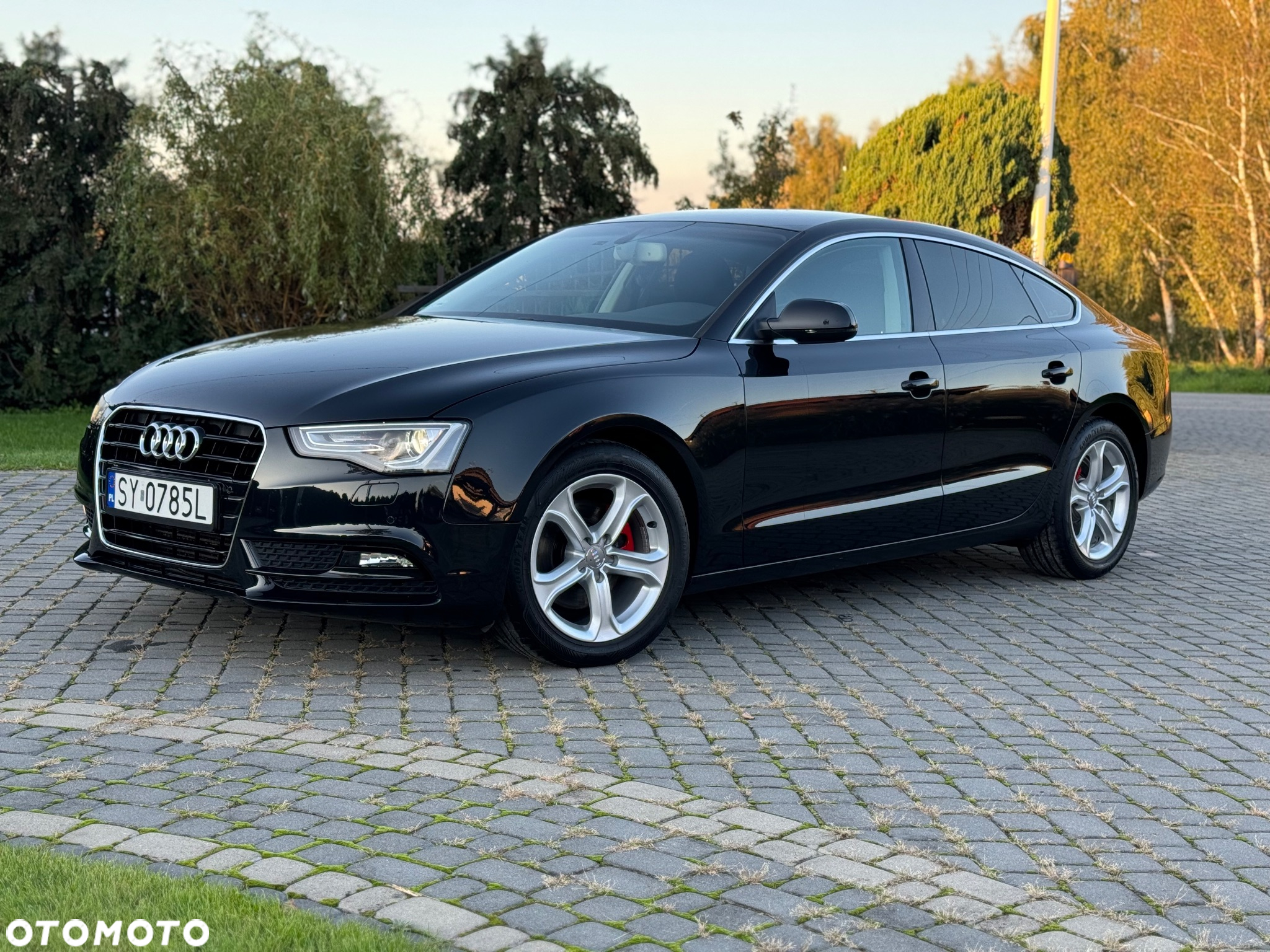 Audi A5 2.0 TDI Multitronic - 6