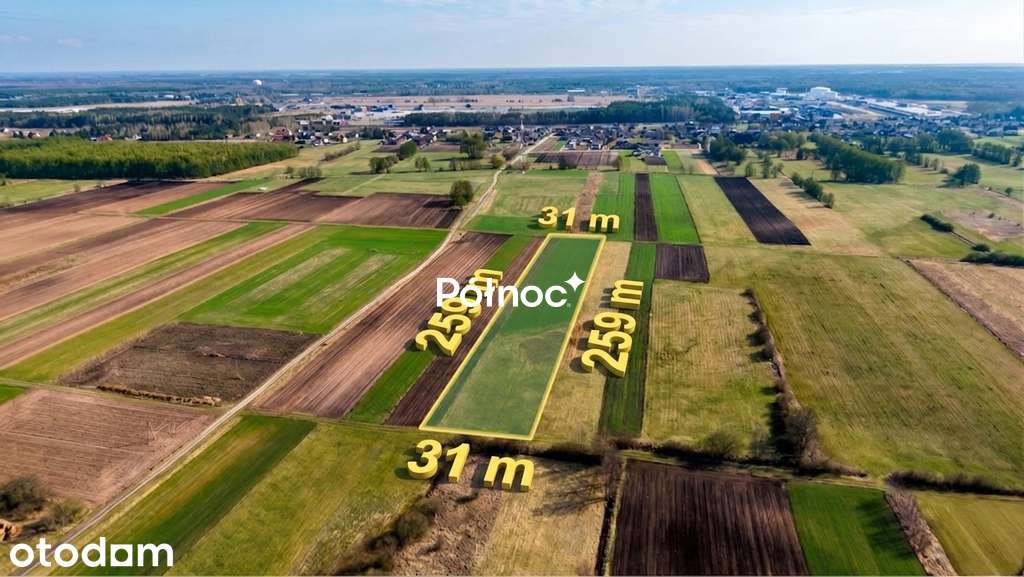 Łąka 8000m2 w  Małaszewiczach Dużych - Pełny obrazek: 2/6