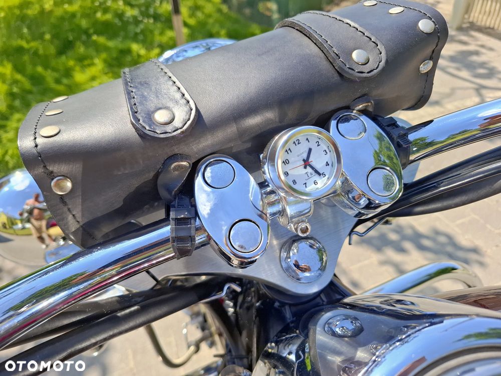 Kawasaki Vulcan - 33