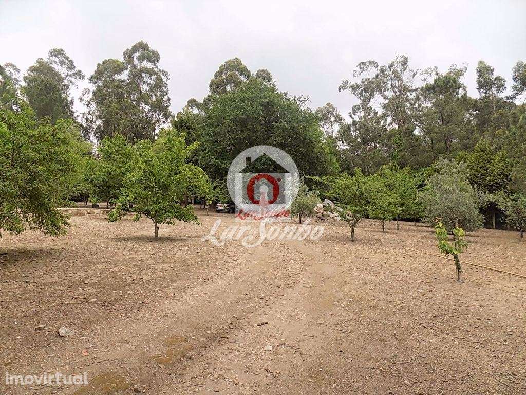 Quintinha com 9.200 m2 em Cruz - Grande imagem: 4/21