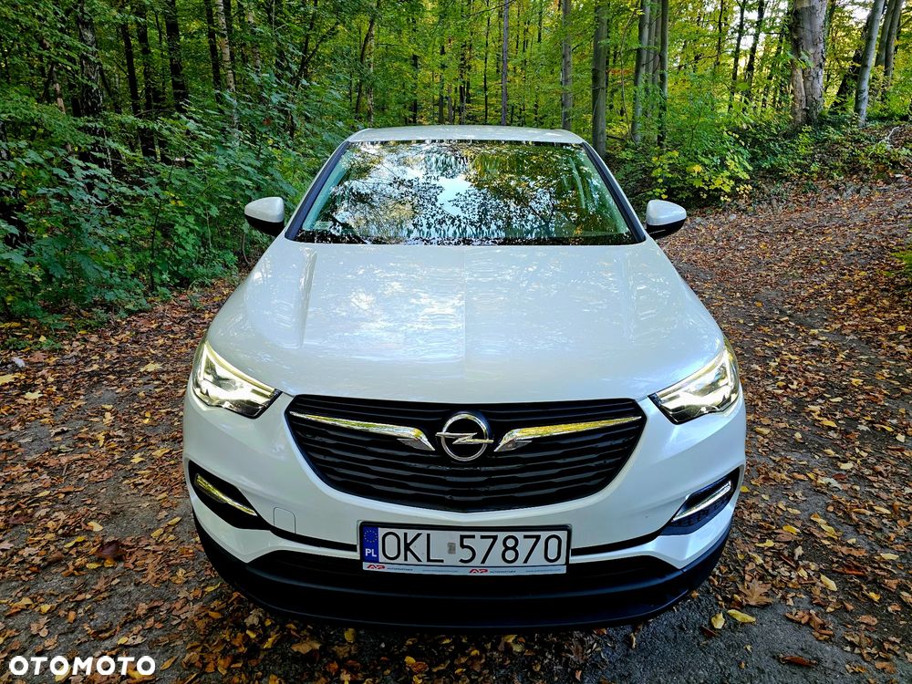 Opel Grandland X 2020 photo 3