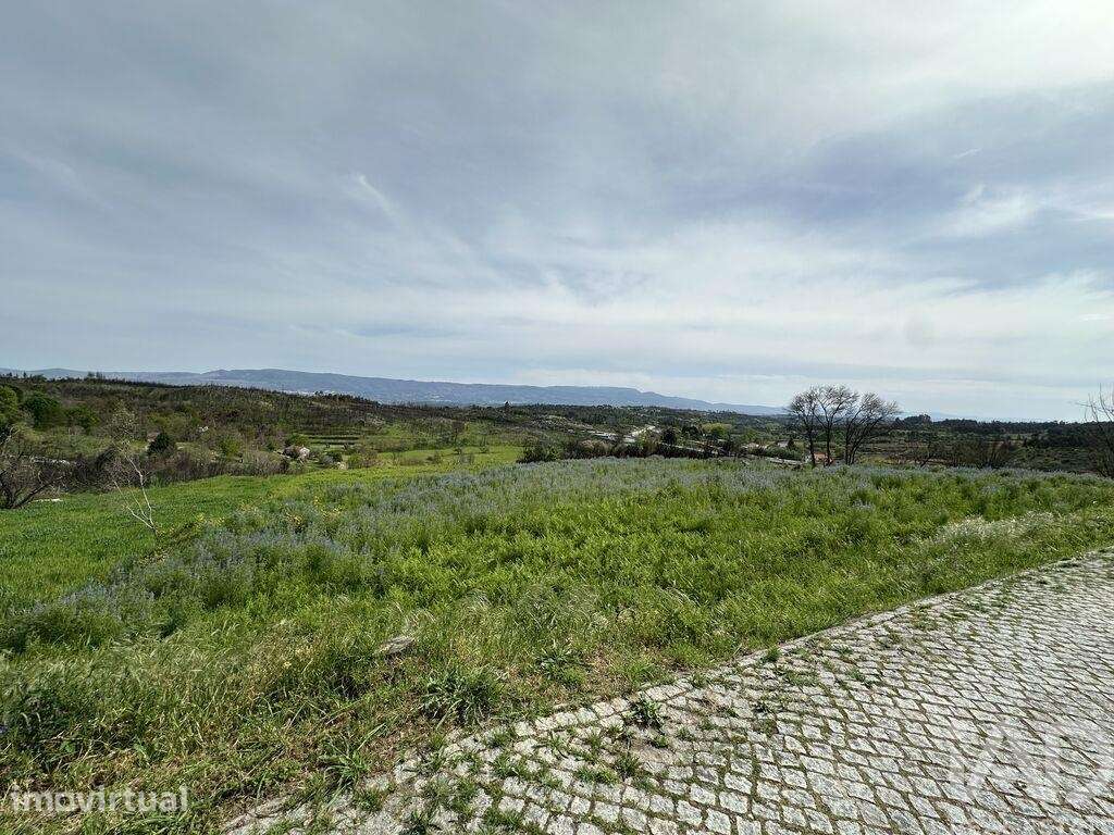 Terreno Agrícola em Mangualde, Mesquitela e Cunha Alta - Grande imagem: 4/8