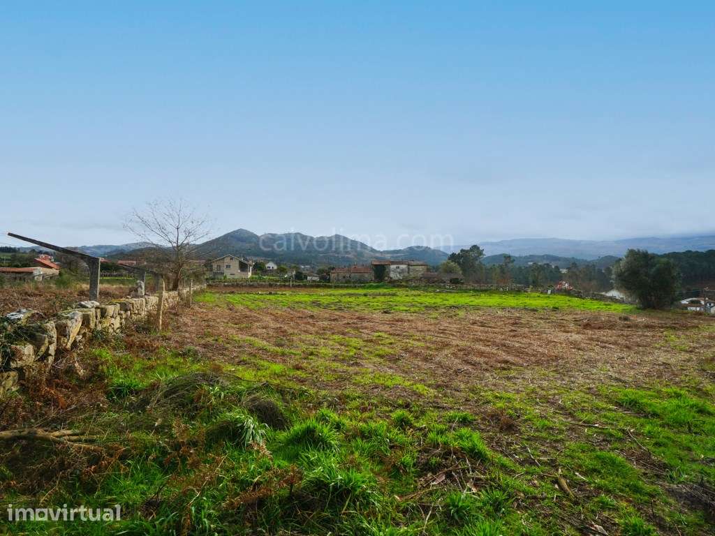 Terreno com 4.446 m², Excelente Exposição Solar e Vistas Desafogada... - Grande imagem: 2/8