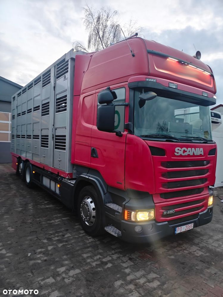 Scania R450 * do żywca * do bydła * świniarka *do trzody - 1