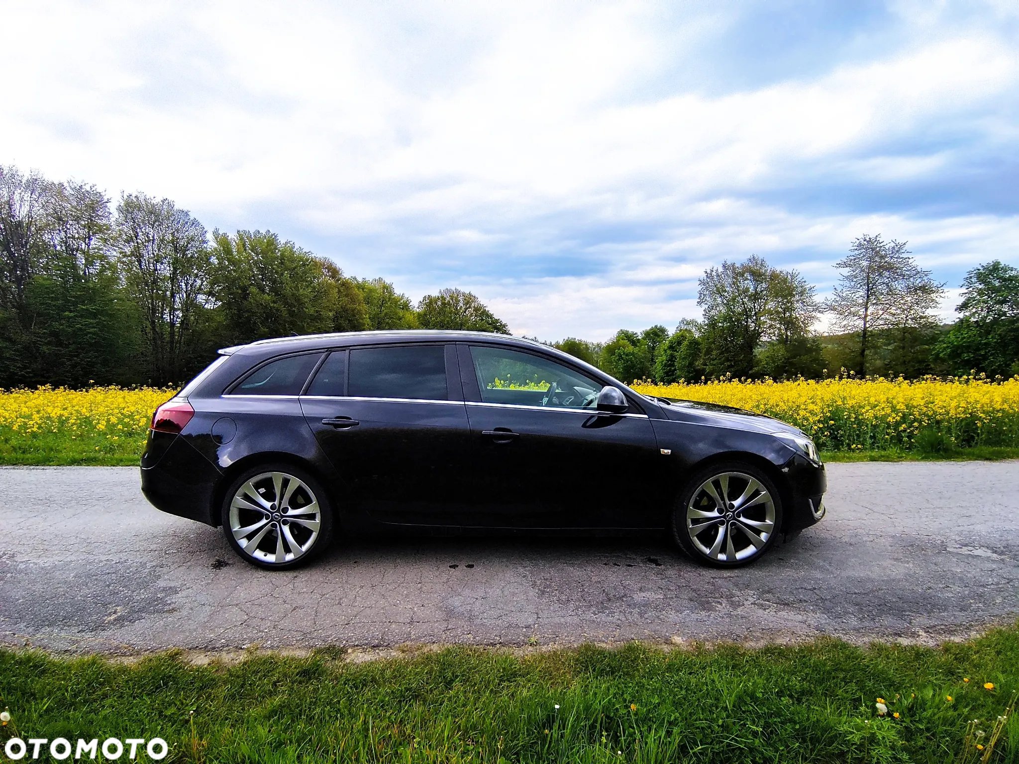 Opel Insignia 2.0 CDTI Sport S&S - 21