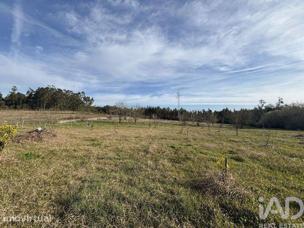 Terreno Agrícola em São Martinho do Bispo e Ribeira de Frades - Grande imagem: 2/18