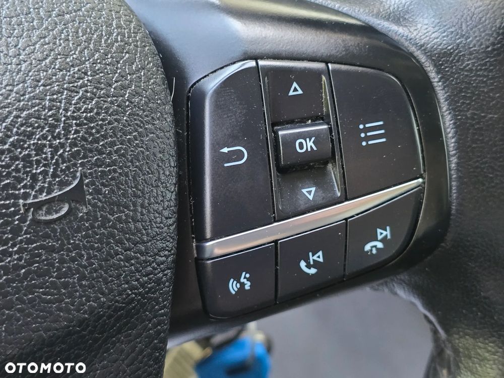 Ford TRANSIT EcoBlue Hybrid - 16
