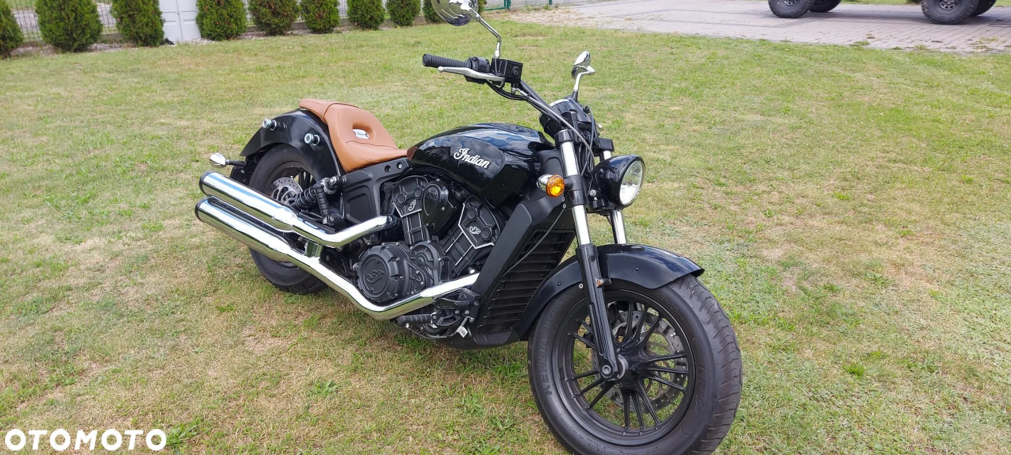 Indian Scout - 17