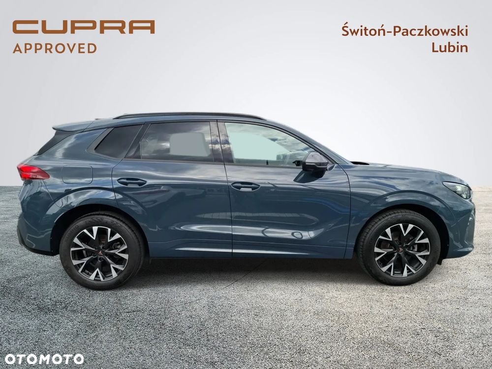 Cupra Terramar - 6
