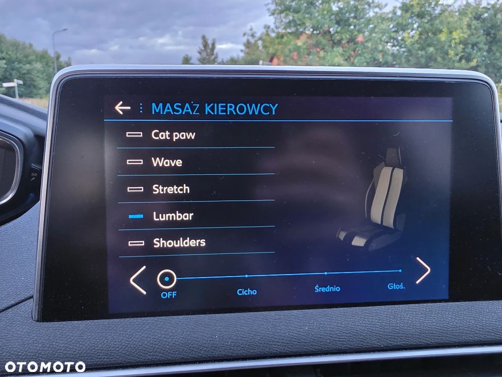 Peugeot 3008 - 17
