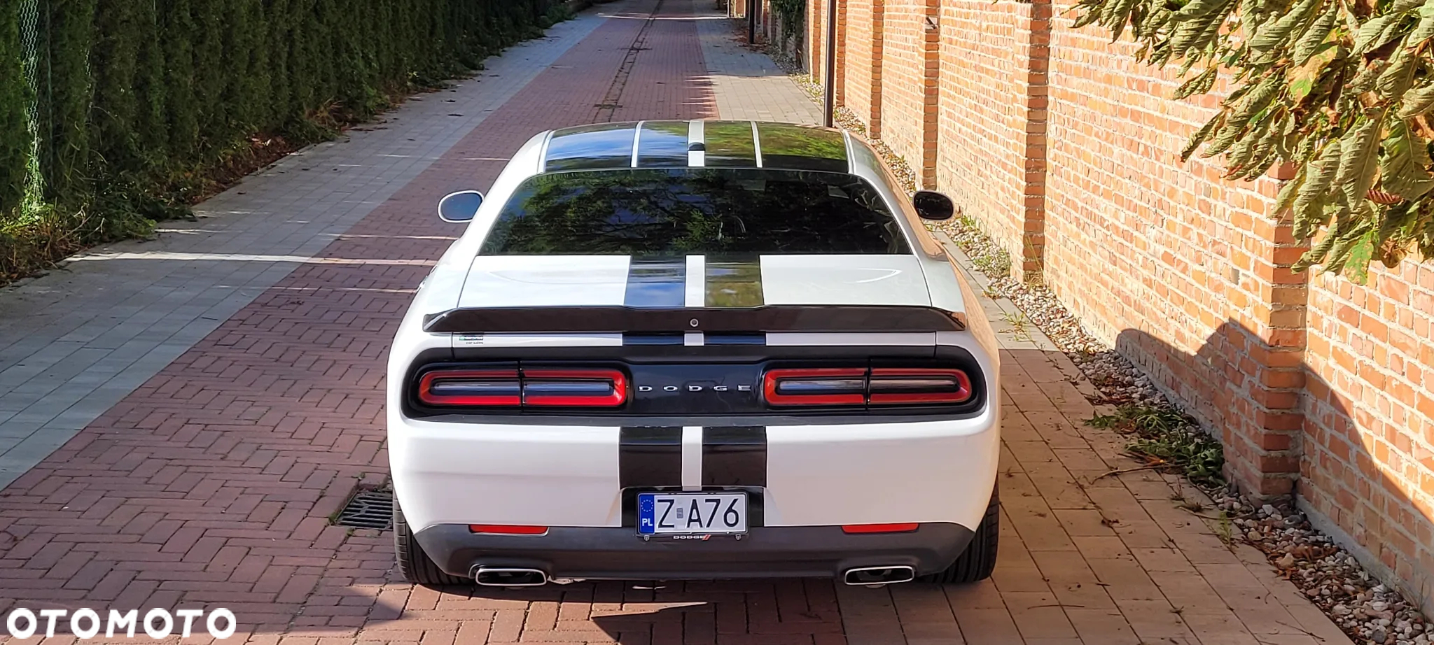 Dodge Challenger - 3