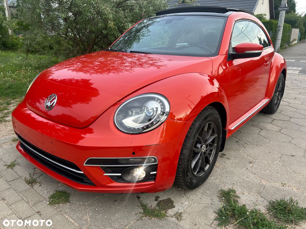 Volkswagen Beetle - 6
