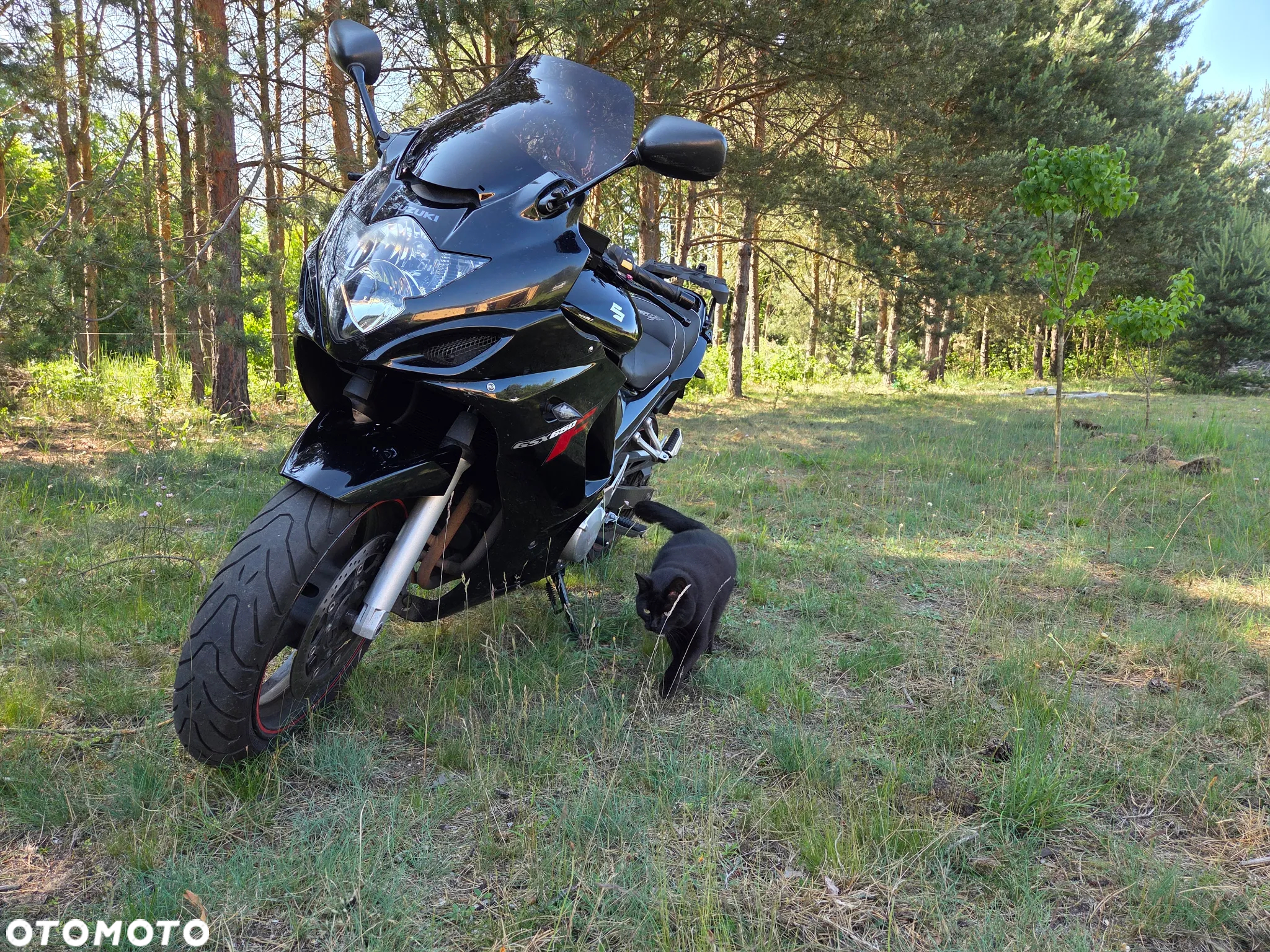 Suzuki GSX-F - Katana - 8